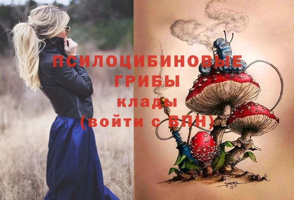 мефедрон Богородицк
