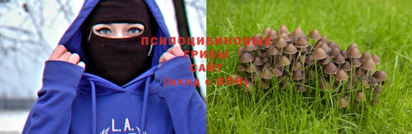 каннабис Богданович
