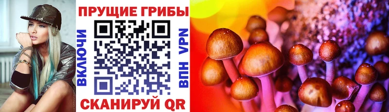 hydra маркетплейс  Екатеринбург  Галлюциногенные грибы Psilocybe 